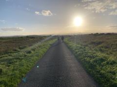 Arriving at Steart to finish the walk